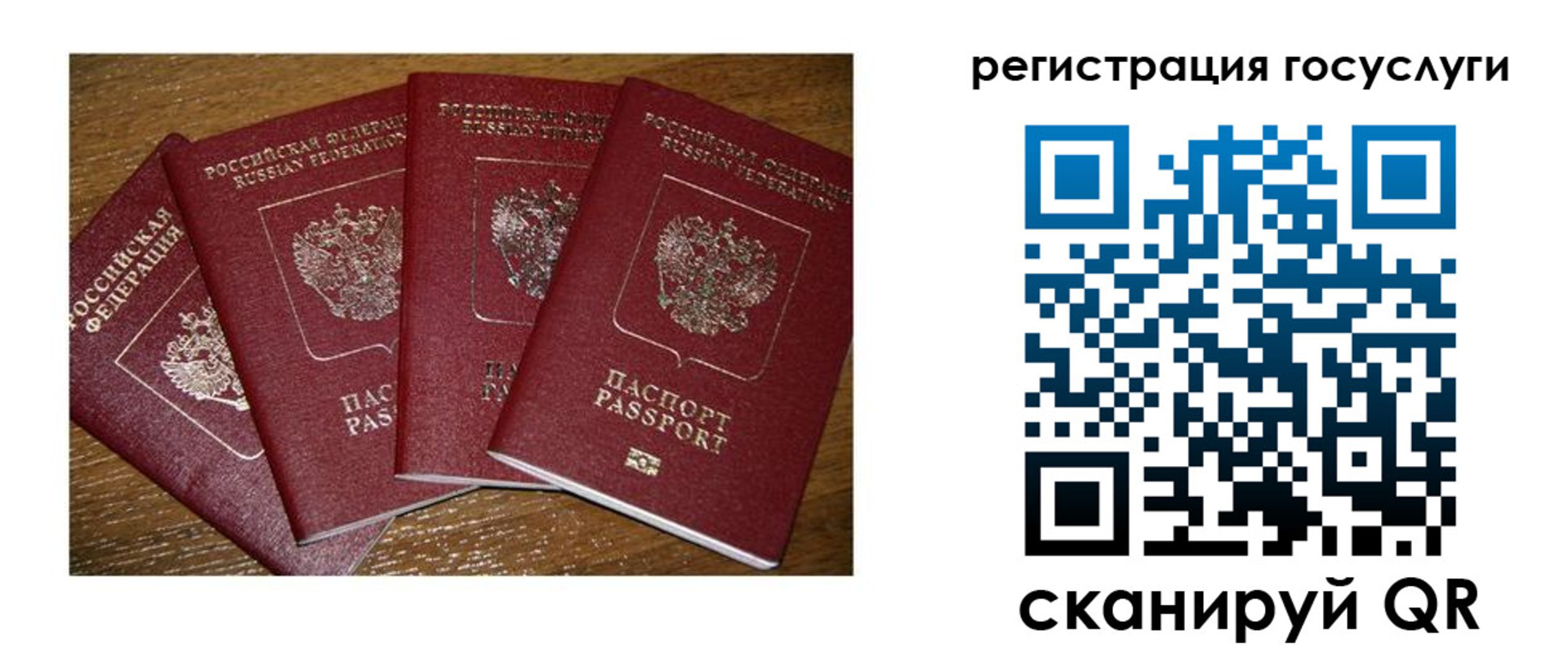 временная регистрация гарантия в Находке